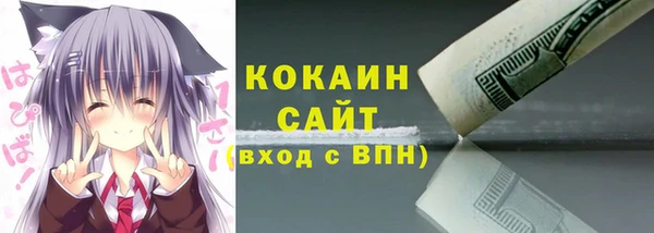 стафф Новодвинск