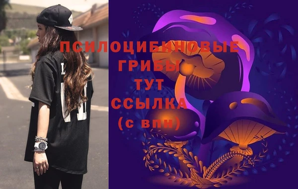 прущий лед Нефтегорск